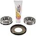 New Pivot Works Steering Stem Bearing Kit PWSSK-S09-421 For Suzuki RM 250 06-08