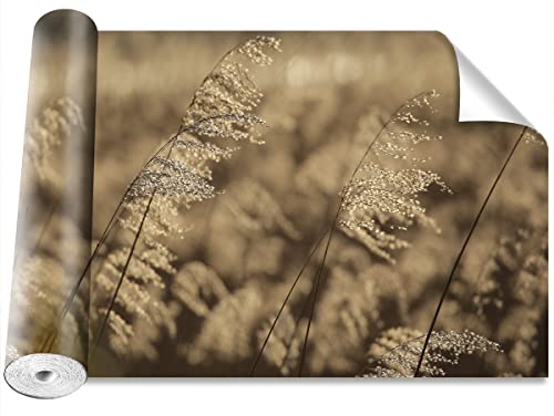 Papier peint moderne Tulup 152x104cm résistant beige pour une protection murale durable - 2