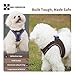 SMALL COMBINATION Adjustable Dog Harness with Leash, Reflective Mesh, No-Pull Design，Matching Lead Rope (Brown, M)
