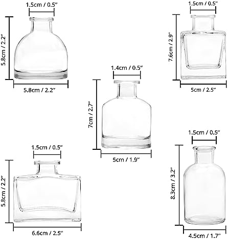 Winter Shore Small Glass Vases for Centrepieces [10 Pack] - Assorted Clear Vintage-Style Bud Vases for Flowers - Square, Rectangular, Round, Short, Tall Bottles for Home Decorations, Wedding Decor