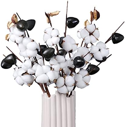 HUAESIN 3pcs Dried Flowers Natural Cotton Flowers 5 Heads Artificial Fake Silk Cotton Flowers Branches Stems Balls Decor for Vase Display Home Wedding Floral Arrangement White