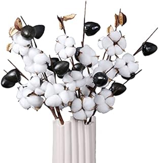 HUAESIN 3pcs Dried Flowers Natural Cotton Flowers 5 Heads Artificial Fake Silk Cotton Flowers Branches Stems Balls Decor for Vase Display Home Wedding Floral Arrangement White