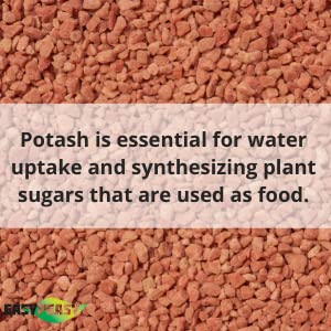 Easy Peasy All- Natural Muriate of Potash | Potassium Fertilizer with 0-0-60 Analysis Plant Food for All Indoor and Outdoor Plants Nutrient Yards in GRANULAR Form