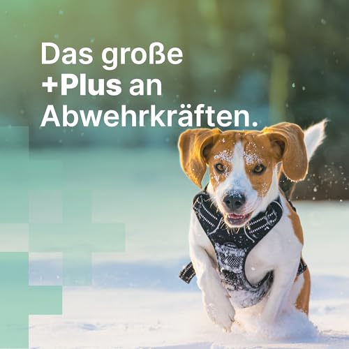 MediBark Immun & Schutz - 150g - Hundeleckerli mit Echinacea & Vitamin C - fördert Abwehrkräfte - Glutenfrei & Zuckerfrei - tägliche Vitamine & Antioxidantien - Leckerlis für Hunde - 225 Stück