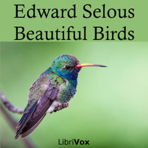 Beautiful Birds by Edmund Selous (1857 - 1934) cover art