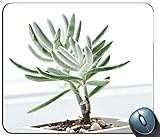 MousePad-Größe: 240 mm x 200 mm x 3 mm (9,5 