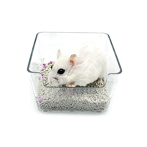 ARBOZEW Caixa de banho de areia hamster com uma pá, vaso sanitário acrílico transparente para bichos