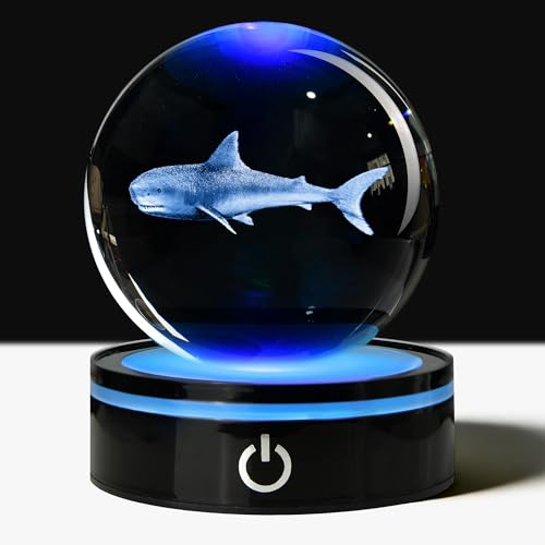 QIANCHANG Shark Night Light, Shark Week Decorations, Underwater Gifts