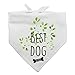 family Kitchen Best Wedding Dog Bandana, Bridal Party Dog Bandana, Wedding Photo Prop, Pet Scarf Accessories