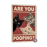 Panneau humoristique en forme de chat – 20,3 x 30,5 cm – Décoration murale avec chats regardant – Parfait pour décoration de salle de bain, cadeau humoristique