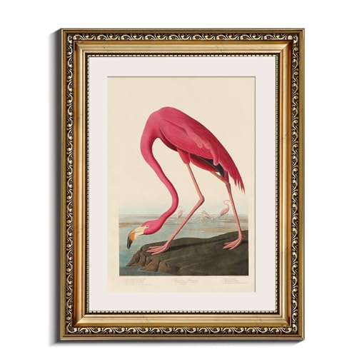 InSimSea Gold Framed Canvas Wall Art Room Decor Flamingo Classic Wildlife Print Wall Pictures Elegant Home Decor for Bedroom Bathroom Dining Room – 14L X 11W