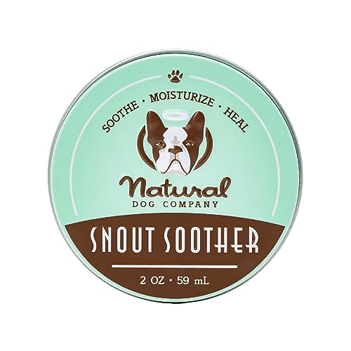 Best Dog Nose Balms Soothing Solutions for Dry Dog Noses