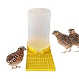 Mangeoire à cailles - Mangeoire transparente de grande capacité sans déchets, récipient à eau pour volaille | Le chargeur pour cailles est fabriqué avec de haute qualité, Geese D