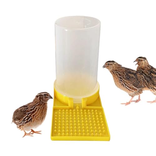 Wachteltränke, Hühnertränke, Geflügeltränke, Auslaufsicher Großer Futtertrog Für Wachteln, Futterspender Für Gänse, Enten, Hühner, Küken, Puten Und Kaninchen 15x8,4x16,6 Cm Wachteltränke, Hühnertränke, Geflügeltränke, Auslaufsicher Großer Futtertrog Für Wachteln, Futterspender Für Gänse, Enten, Hühner, Küken, Puten Und Kaninchen 15x8,4x16,6 Cm