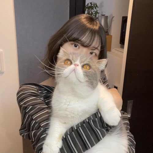 『猫と私と考えごと』のカバーアート