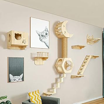 interior wall cat tunnel