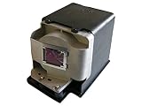 InFocus Genuine Replacement Projector Lamp for IN3114, IN3116