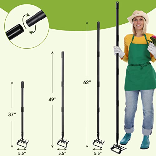 Garden Hoe, 4 Tines Hand Weeding Hoe Garden Tool and Cultivator Long Handle 62", Action Stirrup Scuffle Field Digging Hoe Heavy Duty for Lawn Gardening Weed by Lcokeiy - Image 5