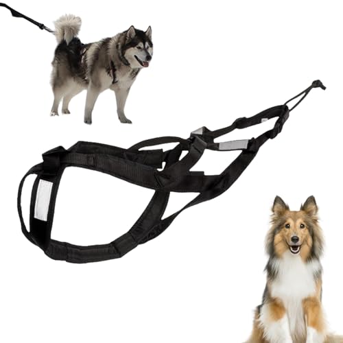 Arnés para perros, arnés de nailon de alta resistencia para correr – Cinturón de tracción con correa reflectante para tirar de peso, canicross, ski-joring