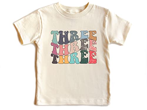 Three Year Birthday Shirt, Toddlers 3rd Birthday Shirt, Groovy Three Year Shirt - Three Years Old Shirt - 3 Year Old T-Shirt - 3 Year Old Gift