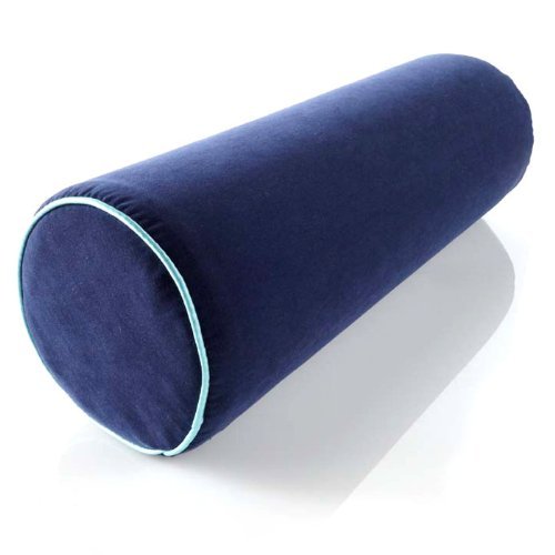 BioSense Support Cushion