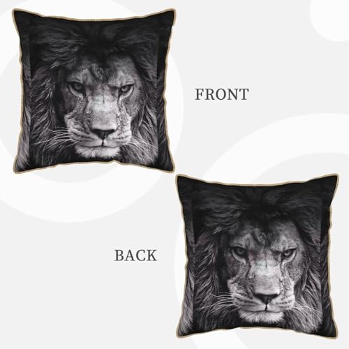 Housse de coussin en velours lavable lion contre textile rêche - 4