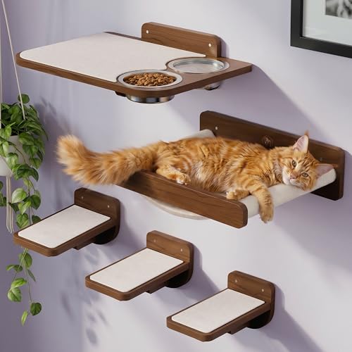 Cat Wall Shelves with Feeding Station
