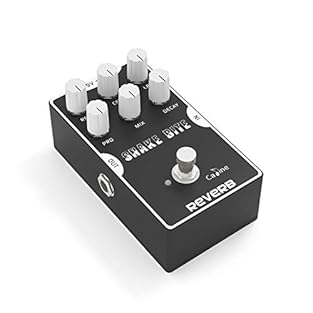 🎸Digital, analog and tape delay types 🎸Controls for time, repeat and level 🎸High-quality delay guitar pedal: True Bypass foot switch for crystal-clear signal through 🎸Power supply:9V AC adapter（No power adapter included） 🎸【One year warranty】 Pedals h...