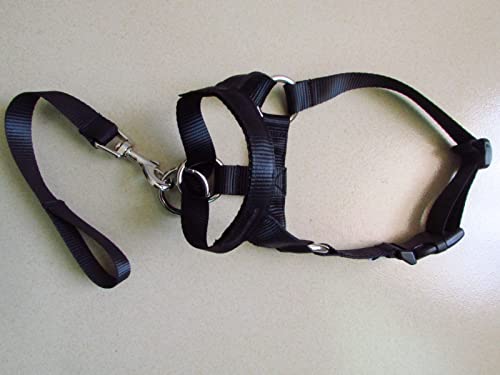 Dog Head Collar Training Leash - No Pull Head Halter Stop Dog Pulling,Padded Headcollar For Small Medium And Large Dog Sizes #TOP4