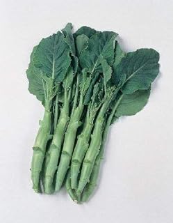 SeeKay Chinese Kale - Kailaan - Approx 200 Seeds - Vegetable