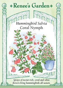Hummingbird Salvia Coral Nymph Seeds Hummingbird Salvia Coral Nymph Seeds