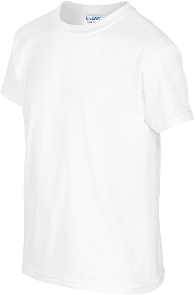 レア 新しい学校のリーダーズ Tシャツ GILDAN ホワイト L レア 新しい