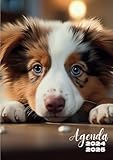 Agenda Scolaire: Chien, Berger Australien | Journalier, un Jour par Page | 12x17 cm, Format Standard | Ecole Primaire, CP, CE1, CE2, CM1, CM2, ... Garçon, Ado, Enfant | Chiot, Animaux, Bébé
