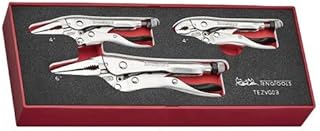 Teng Tools 3 Piece 4 Inch Curved Jaw, 4 Inch & 6 Inch Long Nose Vise Grip Locking Plier EVA Foam Set - TEZVG03