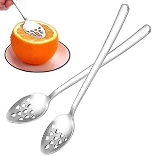 lixulluo 2 Pcs Small Slotted Spoons Stainless Steel Serving Spoon Caviar Spoons Kitchen Gadget for Home Restaurant Pressed Fruit Potato Garlic Paste Filter Soup, Silver (wqeeqwewrw-6344)