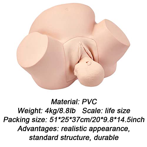 Modèle d'accouchement avec détails anatomiques pour simulation obstétrique - 6