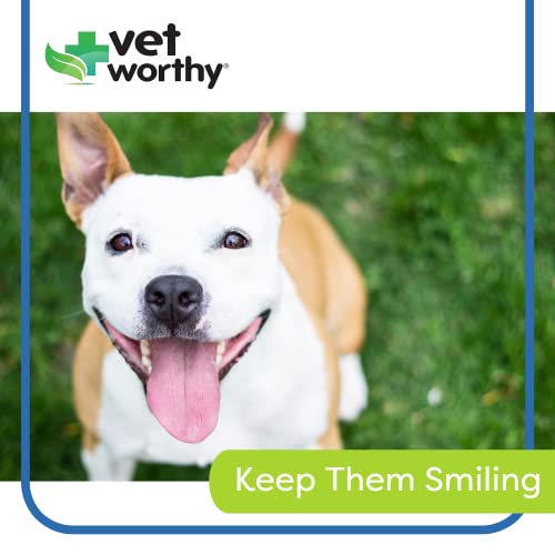 Vet Worthy Toothbrush For Dogs - For Clean, Healthy Teeth And Gums - Freshen Dogs Breath - Reduce Plaque - Angle Head Design For Smooth Cleaning - Pack Of 3 Toothbrushes #TOP3
