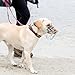 Cocker Spaniel Rüde - CHOPO Drahtmaulkorb - Hundemaukorb -Komfort und Sicherheit in Perfekter Balance