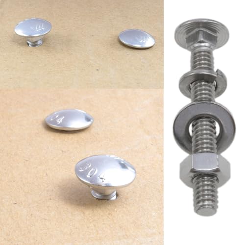 Image of Stainless Steel 18-8 Full Thread Covering 1 /4-20 x2 Carriage Bolts and Nuts kit Square Bolt t Slot Bolts Head Bolts Hexagon nut for Front Bolt Spring Washer and Flat Washer Silver 10Set