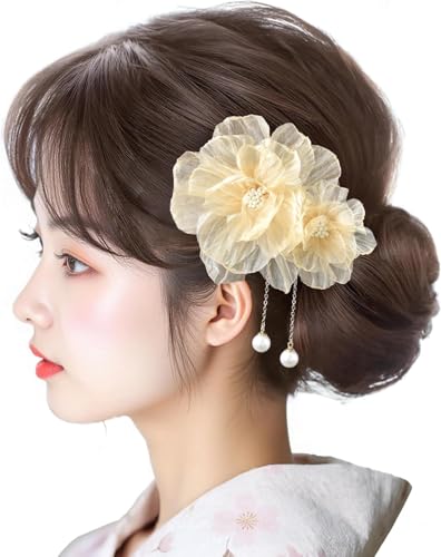   p[  wANbv K؂ a a l q  ܎O ԉΑ  (CG[)