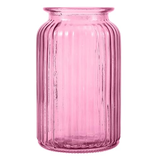 Jarrón de cristal y función para hidroponía decorativo rosa 2