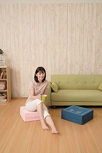 体幹ぴょんぴょん ホップステッパー ピンク