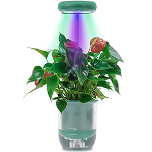 Innodoris Mini Smart Garden Hydroponics Growing System. Height Adjustable Grow Light pod in Your plam, Multiple mounts…