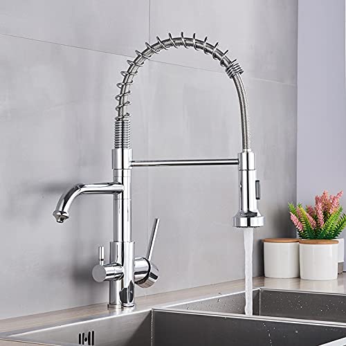 Robinet de cuisine avec douchette extractible et robinet de filtre à eau intégré
