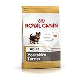 comida casera para yorkshire terrier Terrier Royal Canin Yorkshire Terrier - Comida para cachorros, 1,5 kg