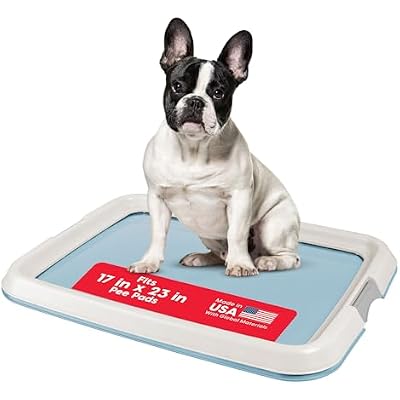 IRIS USA Pee Pad Holder for Dogs and Puppies, Potty Training Tray with Secured Latches, Non-Skid Feet, Leak Protection, Easy Clean Surface, Fits 17x 23 Puppy Pads Size, Blue