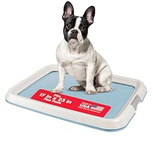 IRIS USA Pee Pad Holder – For Small Sized Dog and Puppy Pee Pads, Secured Latches, Non-Skid Feet, High Polish Finish for Easy Cleaning, Leak Protection, Fits 17″x23″ Pad, Blue