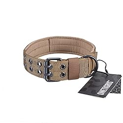 burberry dog collar amazon