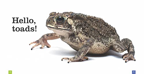 Toads 1608189716 Book Cover