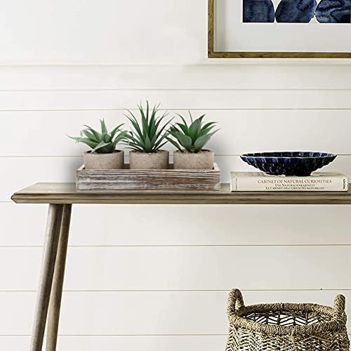 3 Pcs Artificial Succulents Plants Potted Set, Faux Plant Decorative Fake Succulent Plant, Indoor Small Artificial Plants in Pots for Home, House, Office, Desk, Table Decor